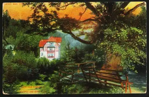 [Ansichtskarte] Themar Sommerfrische, Gast- und Logierhaus "Waldhof". 