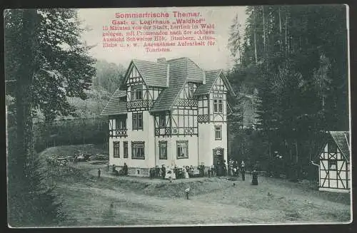 [Ansichtskarte] Sommerfrische Themar, Gast- und Logierhaus "Waldhof". 