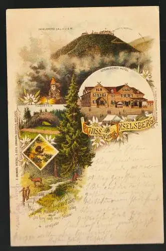 [Lithographie] Gruss vom Inselsberg. 
