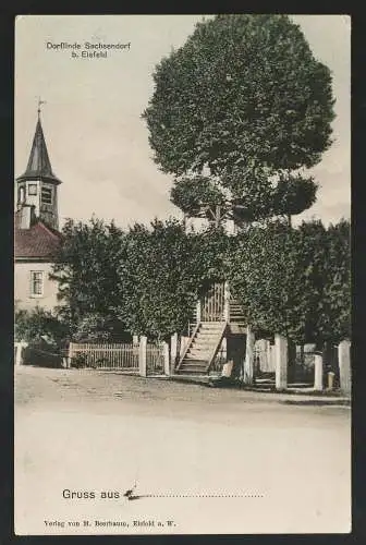 [Ansichtskarte] Dorflinde Sachsendorf b. Eisfeld. 