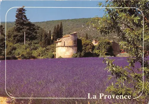 B52822 La Provence sur la route de la Lavande france