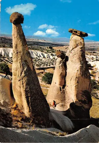 BR23208 Urgup Peri Bacelari Truthahn