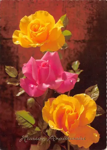 B52100 Fleurs Blumen Rosen