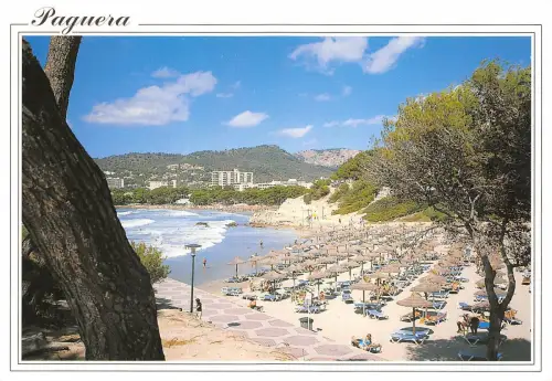 B56366 Mallorca Paguera Spanien