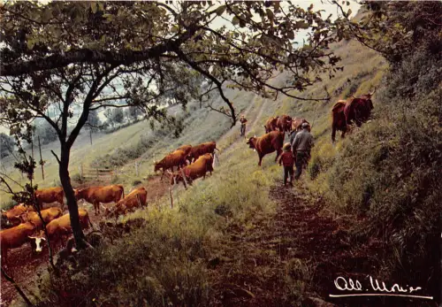 BR13970 Prestige de la terre Sur les pentes arbre Bäume Kuh Vacher Frankreich