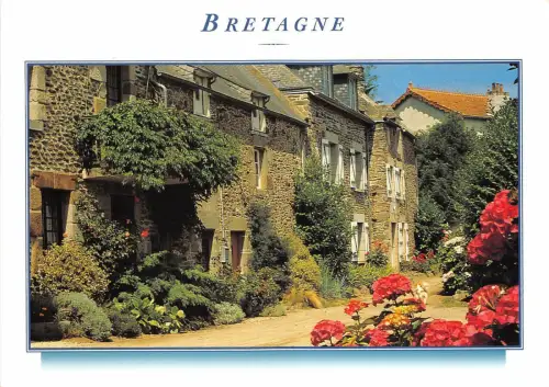 B50009 Blumen Fleurs Retangne Blumen und Steinmetz Frankreich