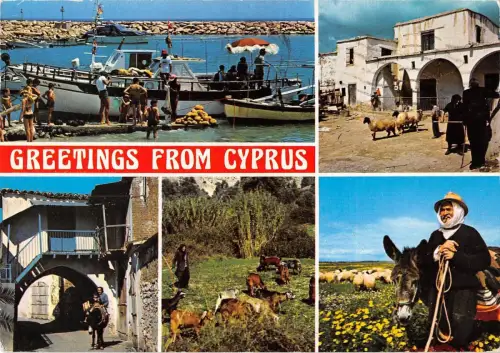 B96542 Grüße aus Zypern Schiff Bateaux Esel Schafe