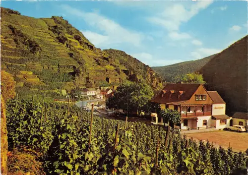 BG5880 walporzheim ahrtal partie an der bauernschenke germany