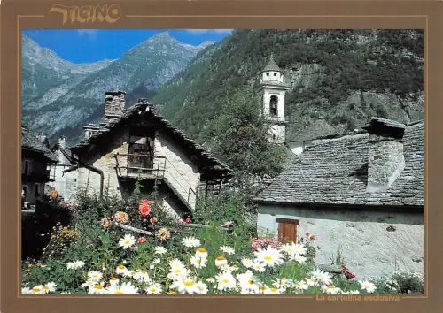 B33398 Tessin Schweiz