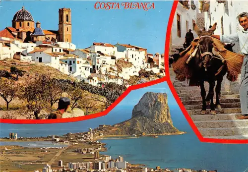 BG6407 costa blanca alicante Eselsorten Spanien