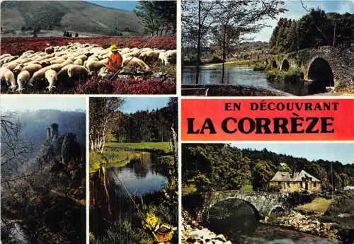 BR15530 La Correze Schaf Mouton Frankreich