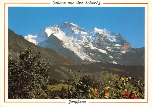 B52622 Berner Oberland Jungfrau Schweiz