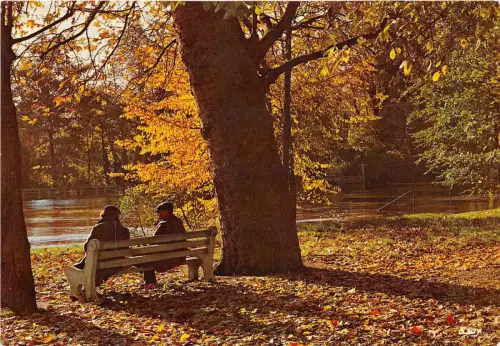 B50753 Plantes arbres L`Automne Landscape