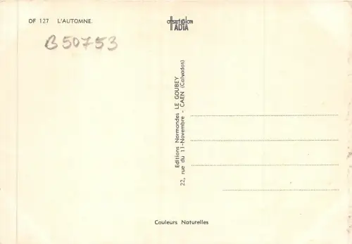 B50753 Plantes arbres L`Automne Landscape