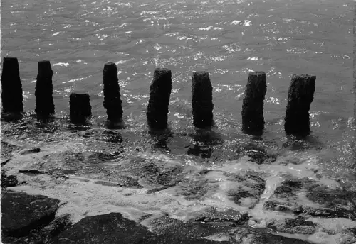 BG5286 un bonjour de la cote belge belgium