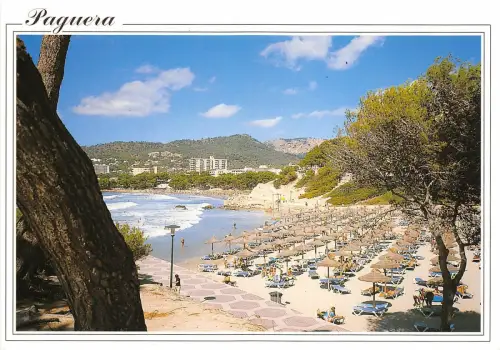 B33155 Mallorca Paguera Spanien