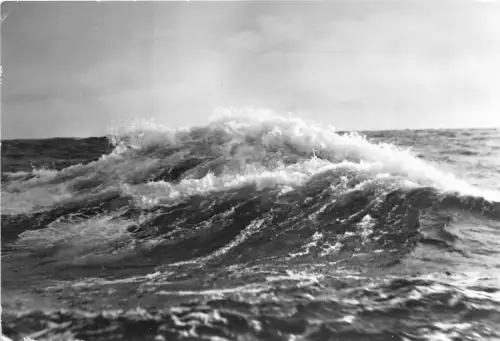 B35961 Ostseewallen Deutschland