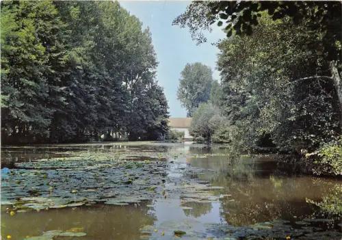 BR1672 Frankreich Charny Les Bords de l'Ouanne