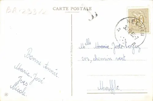 BR23312 Blumen fleurs