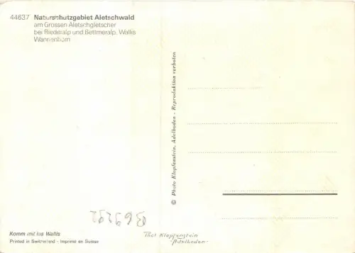 B69292 Naturschutzgebiet Wallis Alteschwald Schweiz