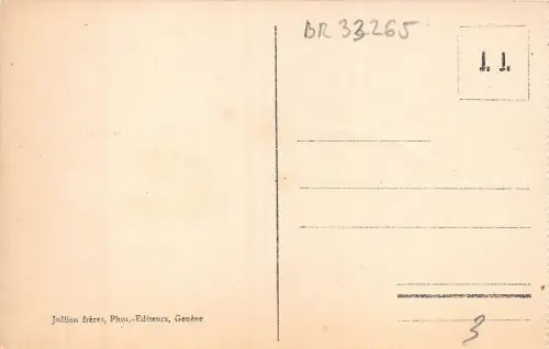 Br33265 Genfer Karte Panorama du lac Leman Schweiz