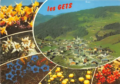 B51243 Les Gets fleurs flowers multi vues france