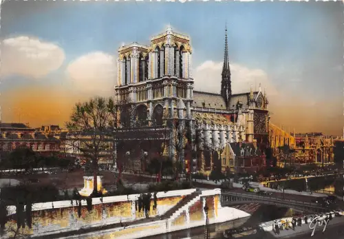 B31511 Paris Notre Dame Vue d`ensemble cote sud france