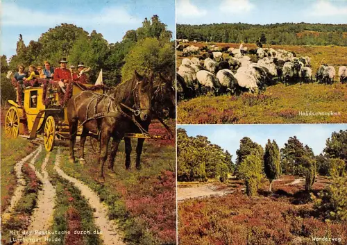 BG9944 Lüneburger Heide Typen Folklore Pferd Schaf Mouton Germany