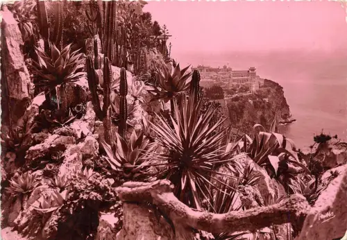 B66578 Monte Carlo Les Jardins Exotiques et le roche de Monaco