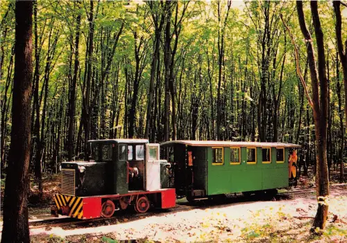 BC59507 Mesztegnyoi Kisvaust Szunyogvar erdoreszleleben Trains Train