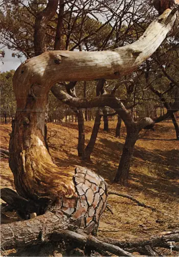 BR2593 Frankreich Cote Atlantique