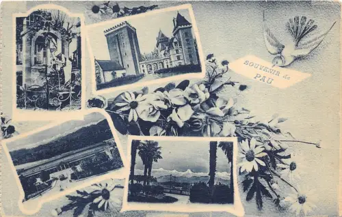 B30149 Pau Frankreich