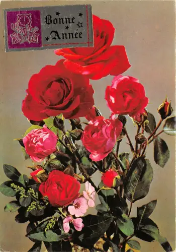 B52101 fleurs blumen rosen bonne annee frankreich neujahr