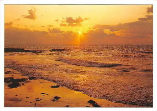 B50235 dans le soleil couchant sunset france