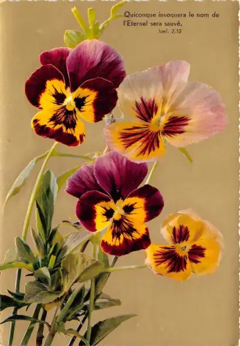 B52127 Blumen fleurs