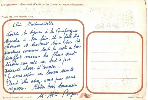 BR1446 Frankreich Elevage Schafe Brebis