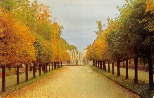 B74340 die Marly Avenue Petrodvorets Russland