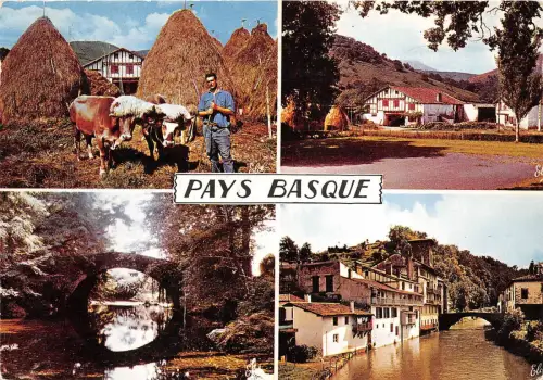 BR8789 Multi Views Cow Vaches Pays Basque France