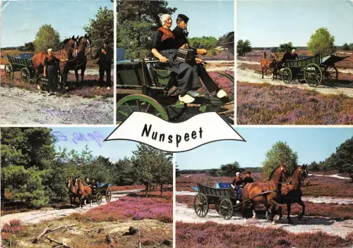 B48149 Nunspeet Pferde mit Kutsche Chevaux Avec Charets Multiviews Niederlande