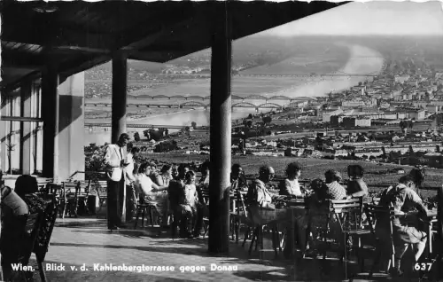 B38032 Wien Kahlenbergterrasse Geogen Donau Österreich