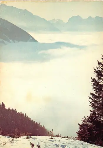 BG5437 rook bevuiling lawaai en razernij hier landscape netherlands