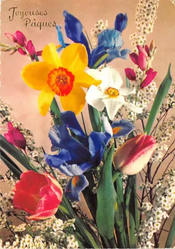 B52063 Fleurs Blumen Paques Ostern Frankreich