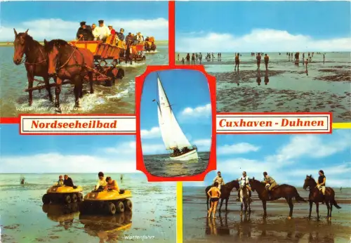 B68852 Cuxhaven Duhnem Pferdechaveaux Germany