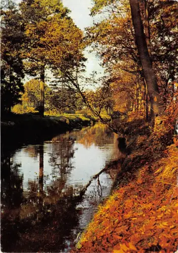 BG4993 lichtaart zicht op de nete belgium