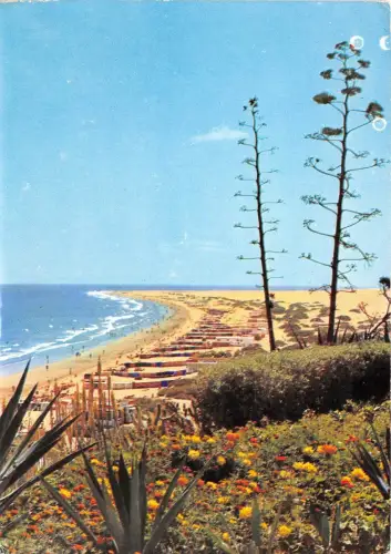 B84177 gran canaria plaa del ingles spain