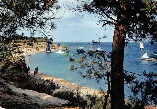 BR21483 ile de re france