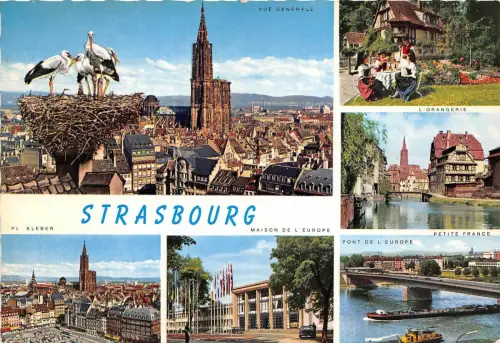 BR1608 France Strasbourg cygognes multi vues