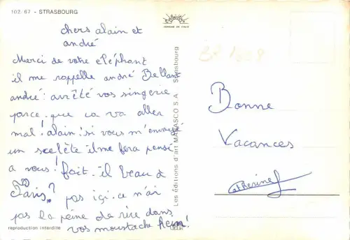 BR1608 France Strasbourg cygognes multi vues