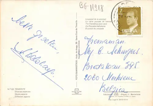 BG11918 tenerife diversos aspectos spain