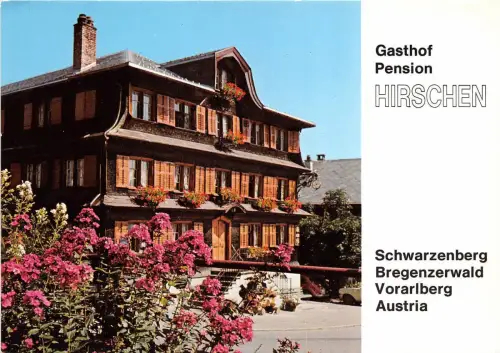 B32248 Gasthof Pension Hirchen Österreich